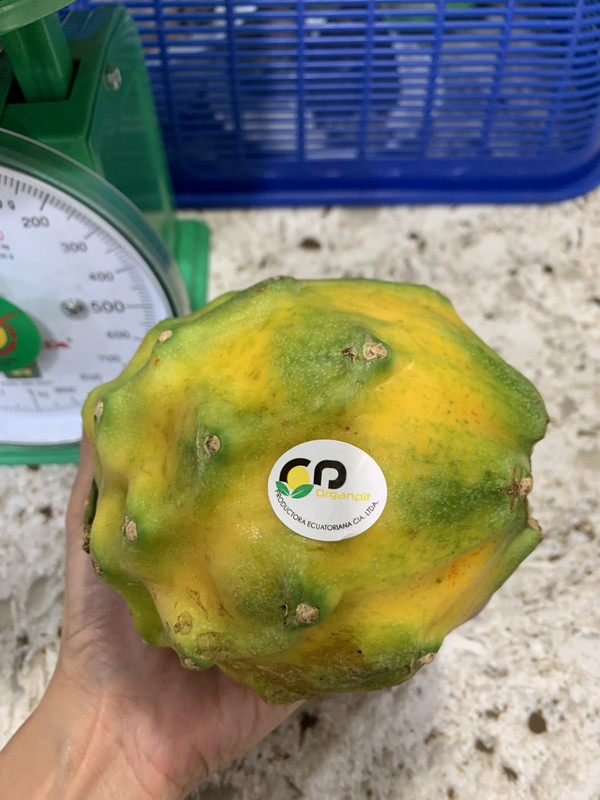 DFDD0017-6FAE-4544-AB08-12F4801F246A