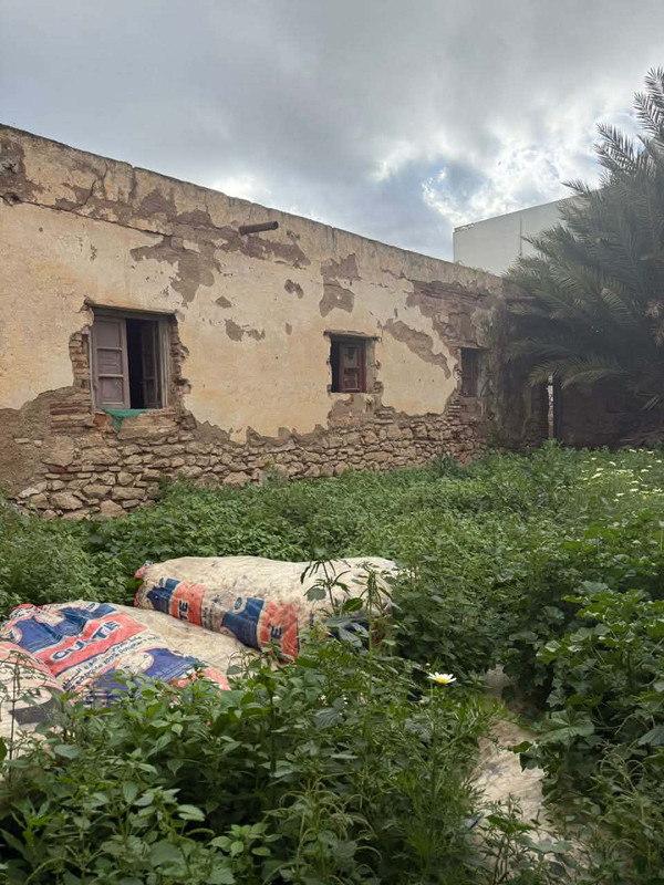 662572857-1704912217157529-8943335978713824426-n