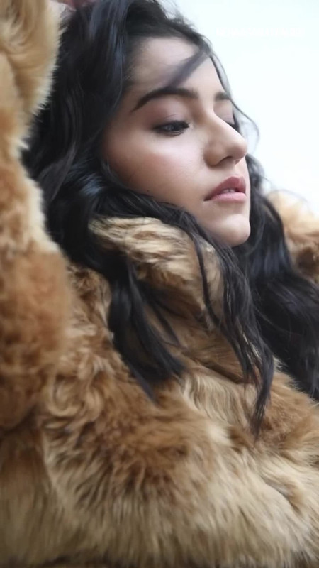 IMG_20241219_004147_712