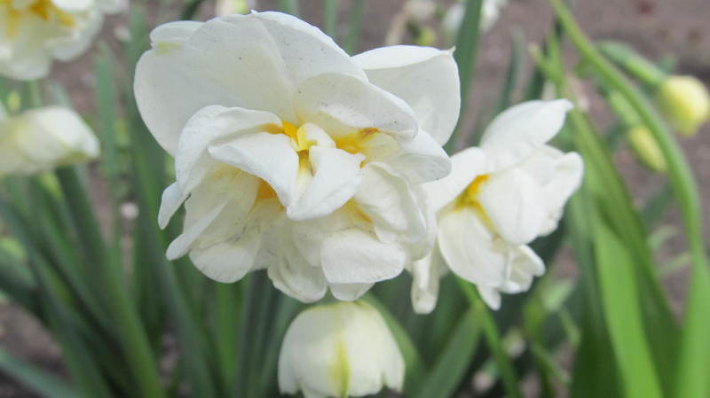 027