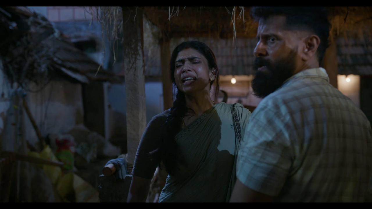 vlcsnap-2025-04-24-21h07m17s757