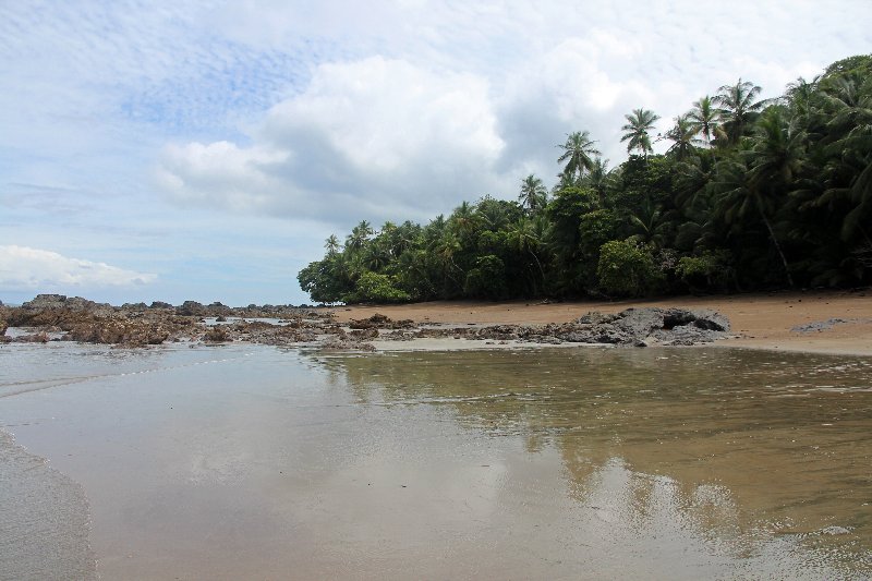 DIA 13: EXCURSIÓN DE UN DÍA A CORCOVADO - DE TORTUGAS Y PEREZOSOS. COSTA RICA 2019 (21)