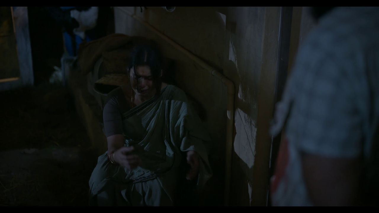 vlcsnap-2025-04-24-21h20m25s201