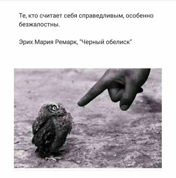 [Изображение: 8c6619e298a9554e2c36b6a42f4a4af0.jpg]