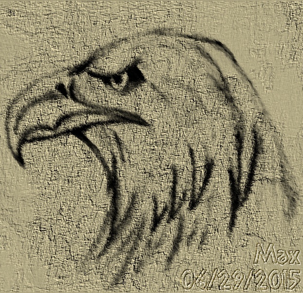 My-sketch-1-of-eagle-spirit-w-black-chal