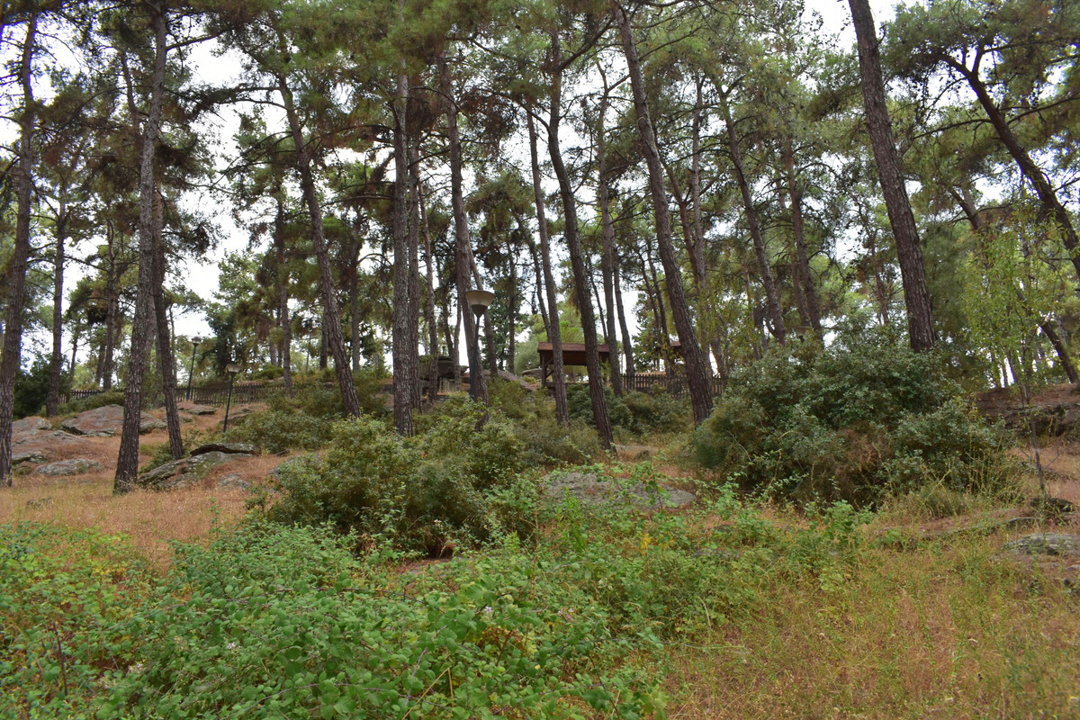 Άλσος της Παναγούδας (15)