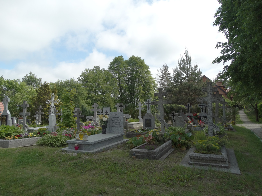 06 - DSC03819 (Czesio1)