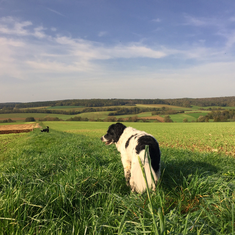 2C3EA65B-31F0-457E-956F-8A93CF61EAB1