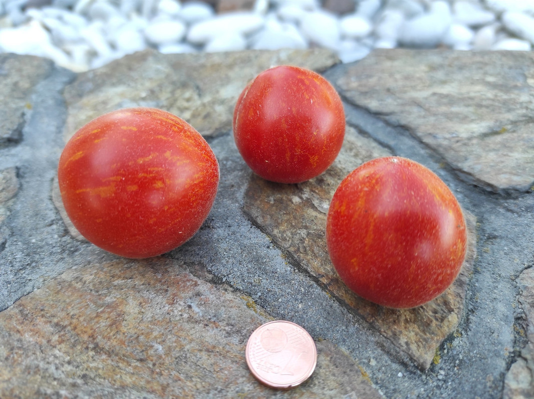 548210607_24568364252782609_5371928673529924142_n