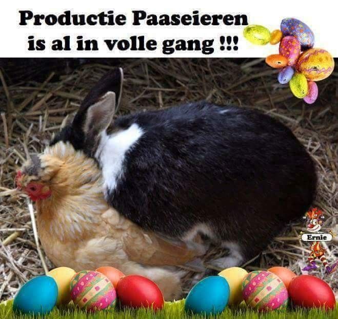 Easter-Funny-Pictures