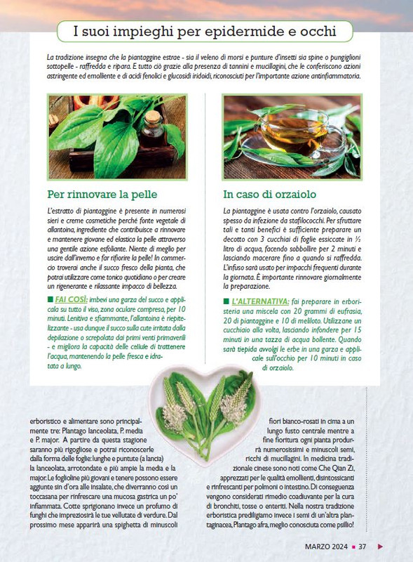 Sal Nat Mar 2024 (4)