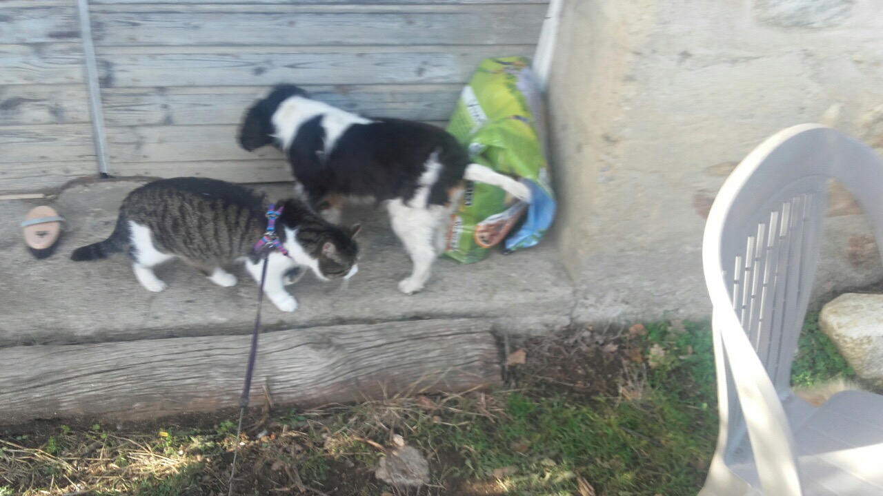 CEC9C17B-2C04-4527-80F0-2100604B2A55