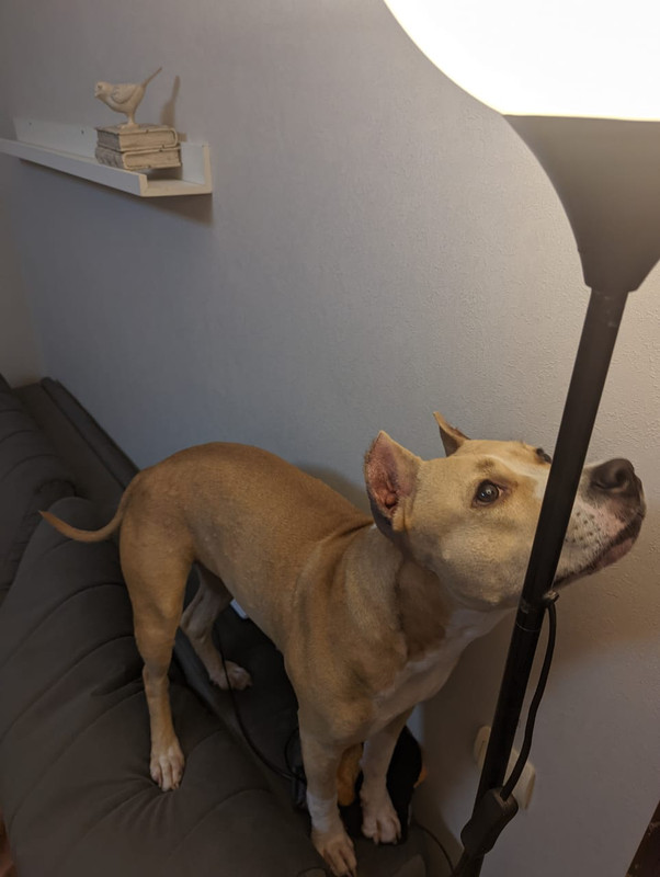 8AB9538F-7FAA-44C9-8B3D-B0FA46CC4D60