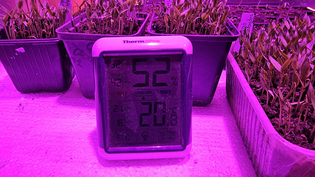 20240217_192819