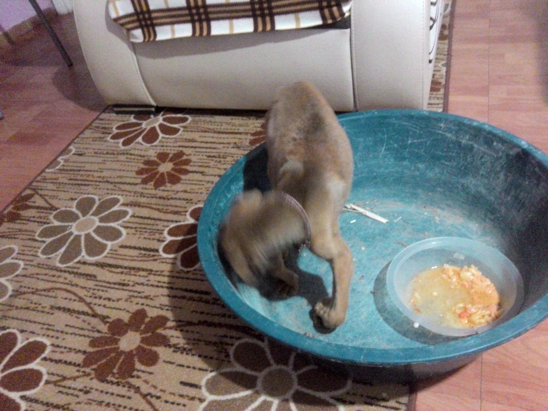 Snapshot_20141128 (3)