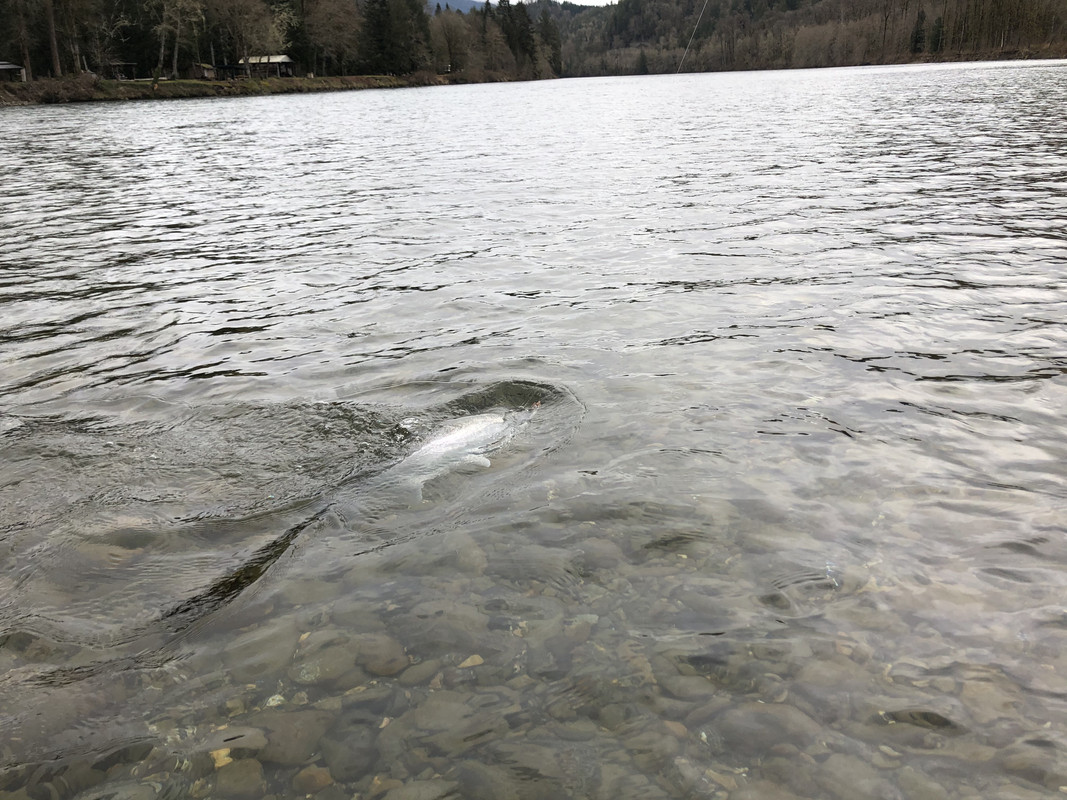 D17F5B5D-16E0-42E1-BE8F-502E7BB5D1F8