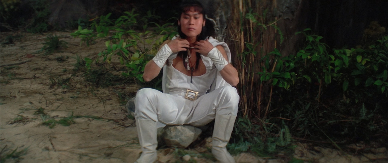 Five Element Ninjas (1982) (1080p BluRay x265 SAMPA).mkv_snapshot_01.19.09.570