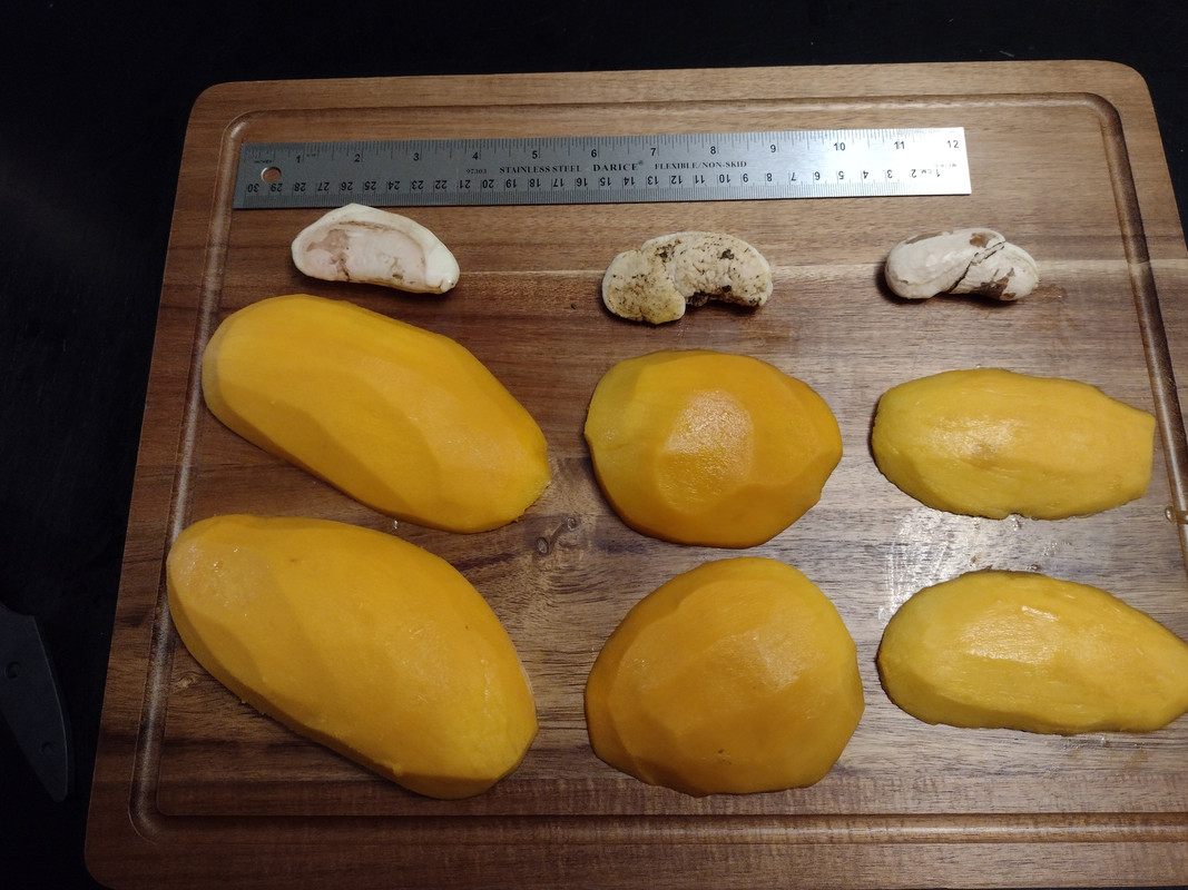 IMG_20210602_191719845