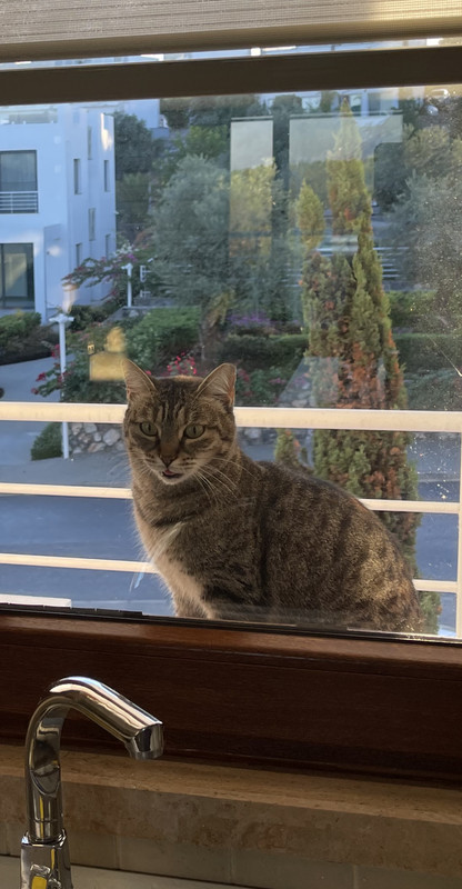 D9E4E4F6-BDF4-477D-9A46-1E03DD3BB6F9