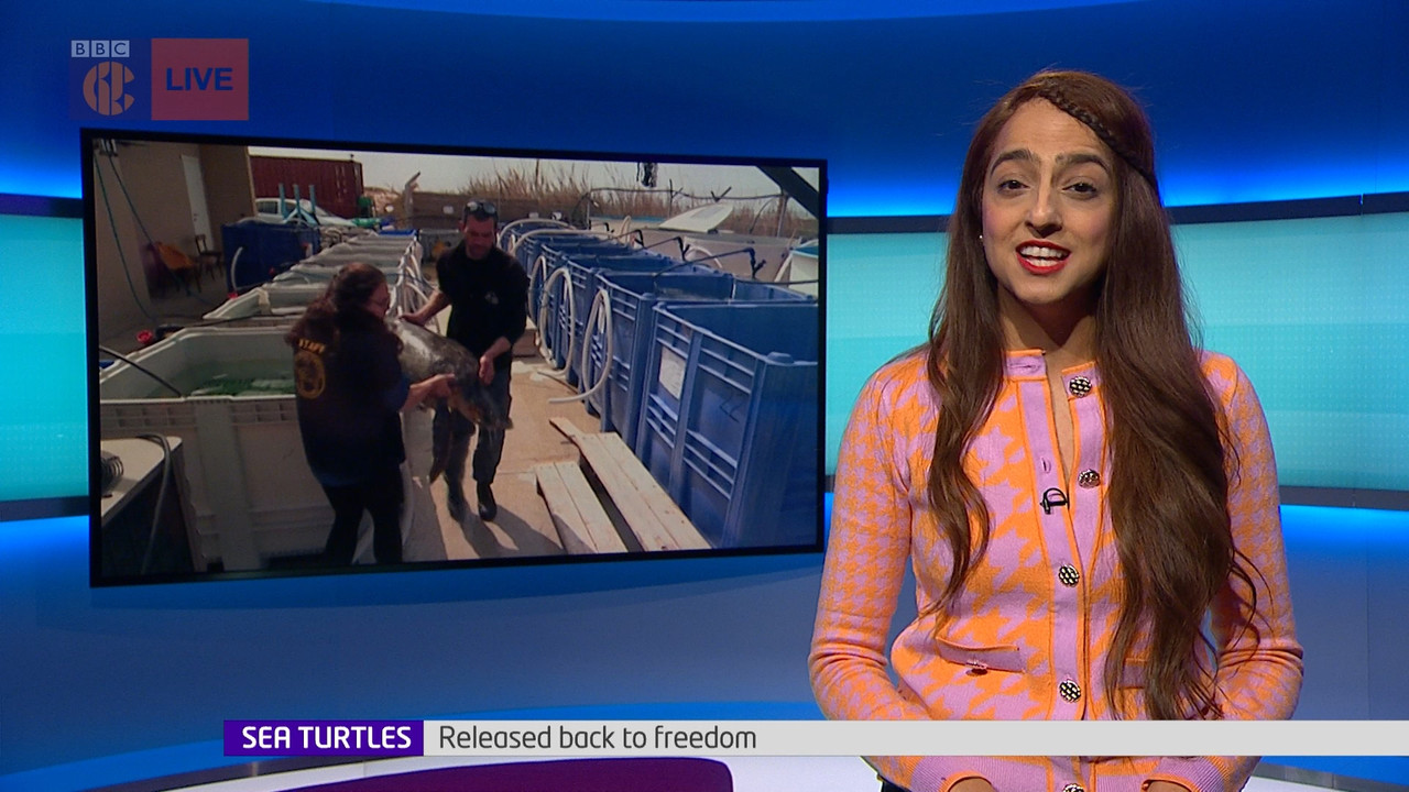 Newsround_20220319_07400750.ts_snapshot_06.45.523