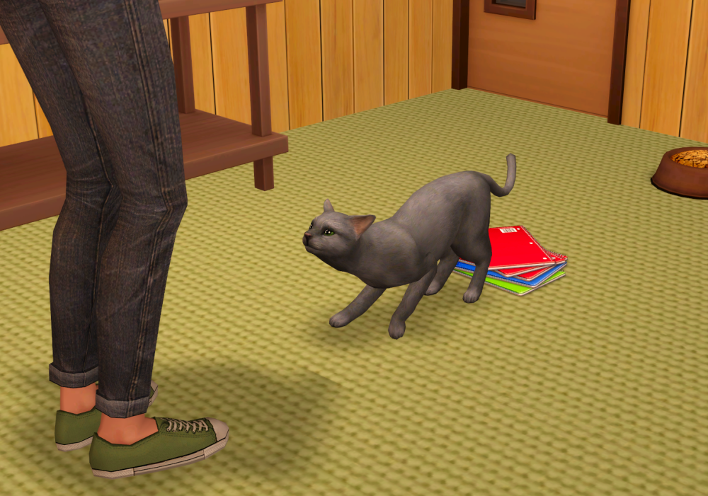 Sims2-EP9-RPC-2022-05-12-21-25-40-31