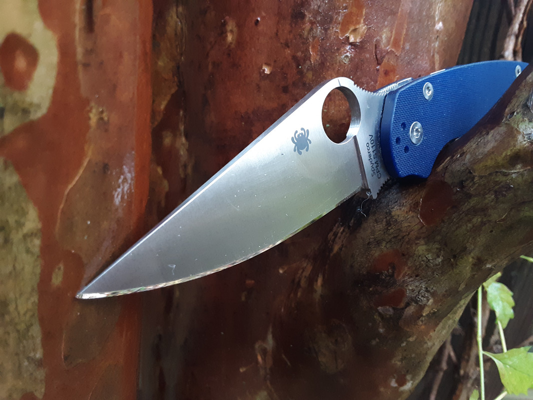 PM2-a.jpg