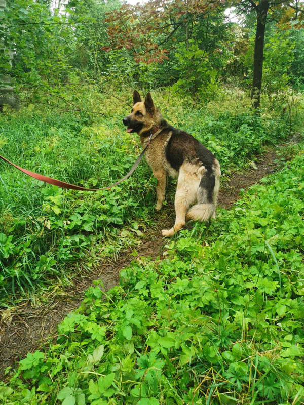 IMG-e2b95de00da9dfc5bb402bcfe974247d-V