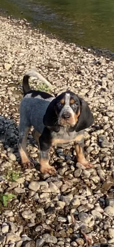 B8DC025C-9AD1-4F94-A48E-E2F05A042650