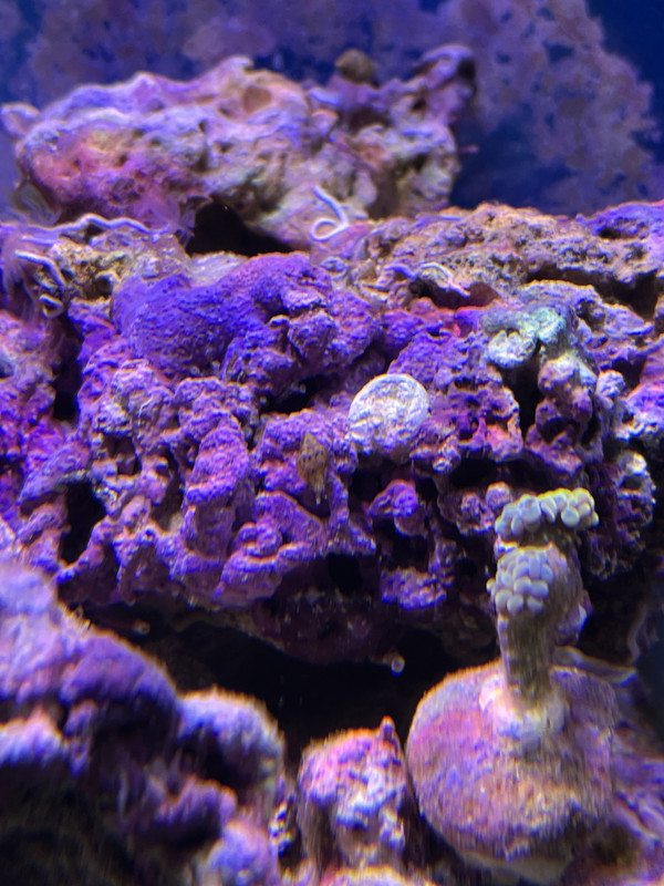 8D1B0511-5C68-4E03-B96B-928C2EF517D6