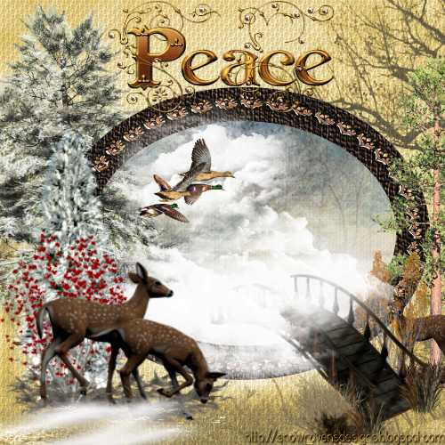 Winters-Dawn-Peace