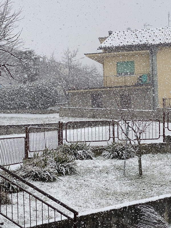 A41FD535-02D1-46FE-A9B6-ACCFE1637BE4