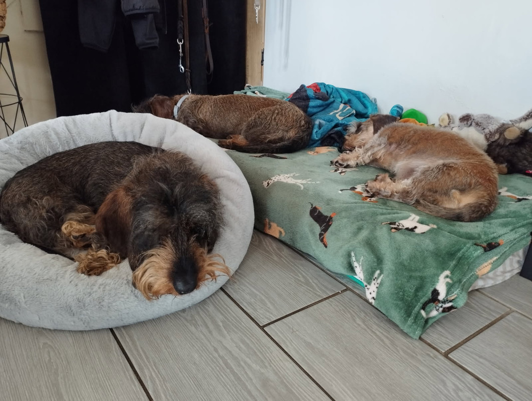 [Image: IMG-20250604-084301.jpg]