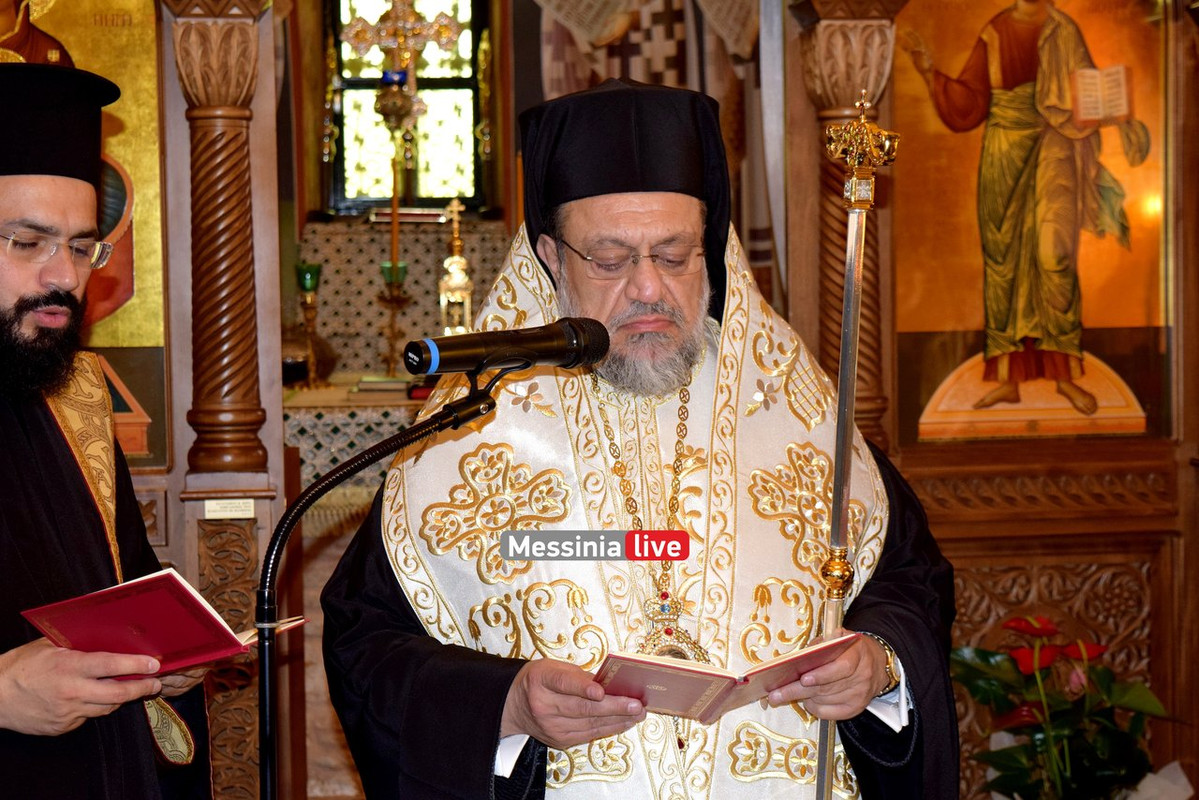 βελανιδιαDSC_0497