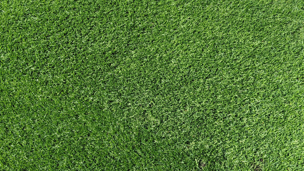 PXL_20210923_160553642.PORTRAIT