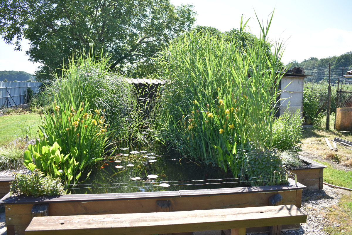 DSC_0004 - Copie (4)