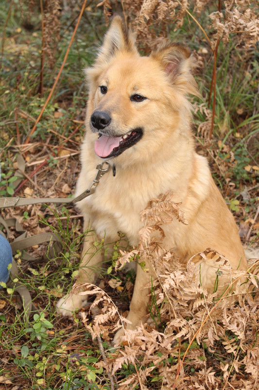 BwtWmJHgqrfZbmFOJJ8cYgrEngOxfddUz9IXQetGC7lkEa4UiOVpSLIw_vJqyUiri2v_-nkbeGRaHft80qUK5-V8