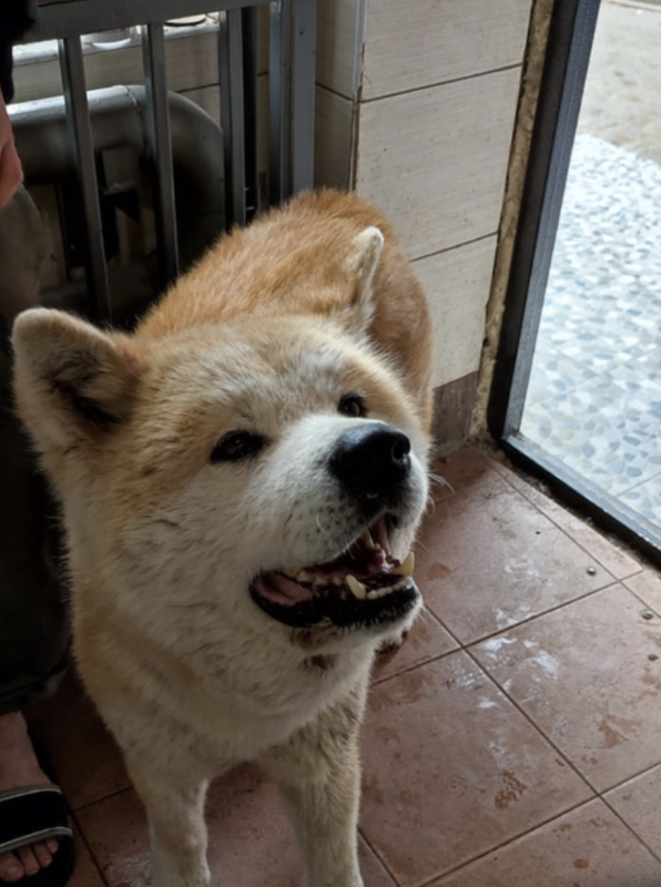 Снимок экрана 2024-06-04 в 21.56.35