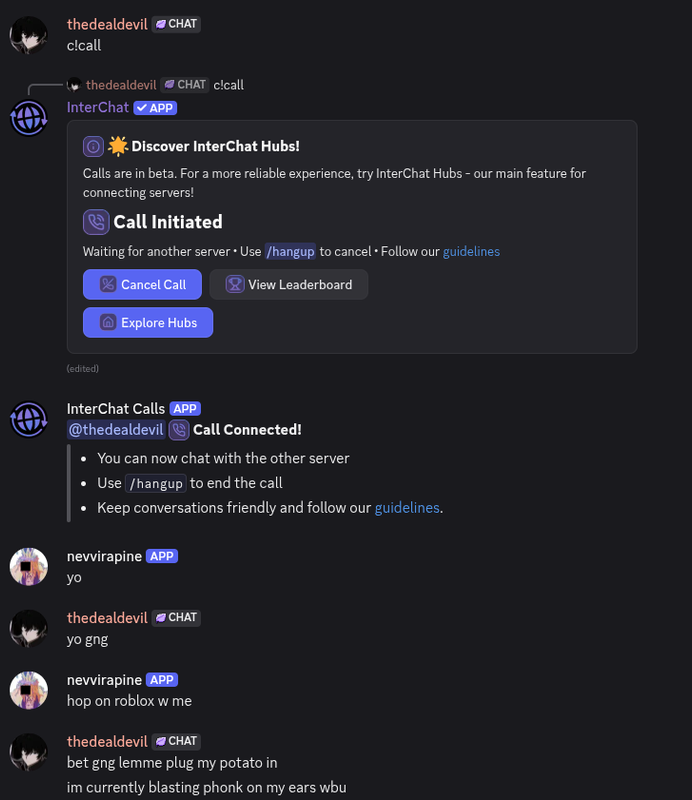 Discord server phone calls