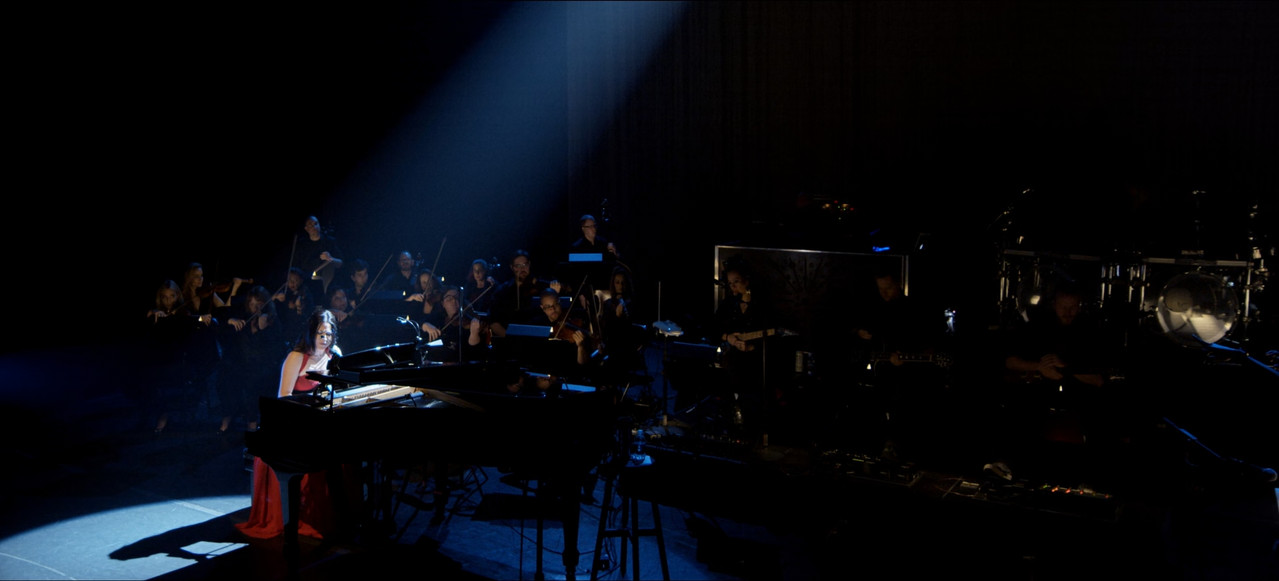 Evanescence Synthesis Live (2018) (1080p Blu Ray x265 SAMPA) mkv snapshot 00 02 55 967