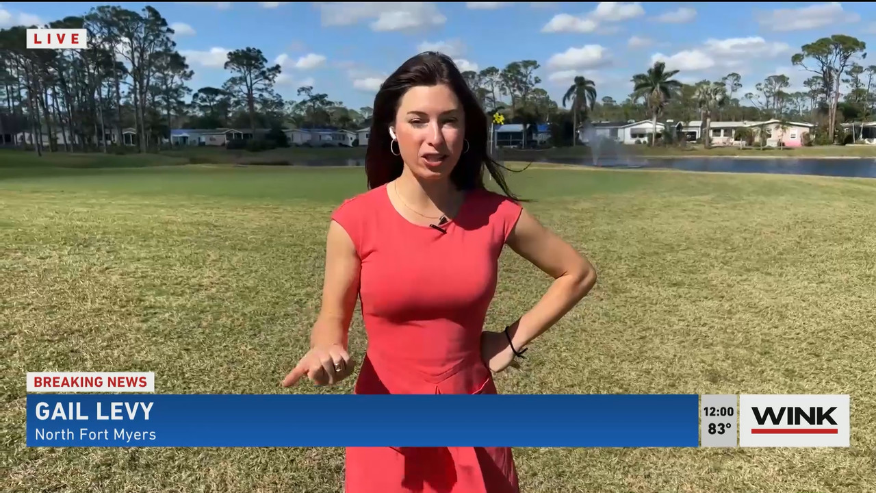 02.02 - 17.00.00 - The WINK Noon News  ᴺᵉʷ. Midday news update..ts_snapshot_06.40.520