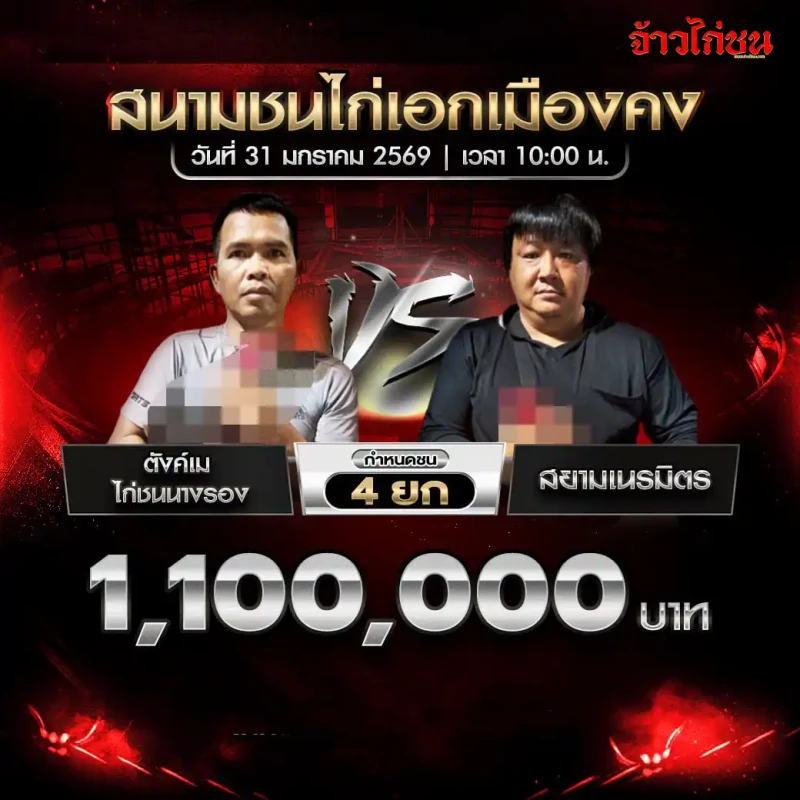 โปรแกรมไก่ชน คู่เด่น ตังค์เม ไก่ชนนางรอง พบ สยามเนรมิตร สนามชนไก่เอกเมืองคง 31 มกราคม 2569
