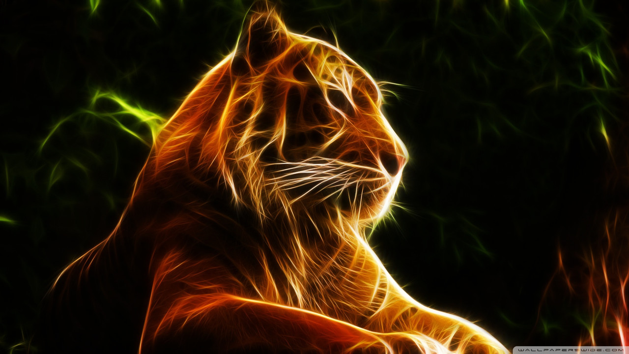 tiger_4-wallpaper-1920x1080