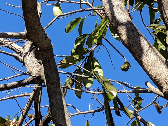 [Image: IMG-20190106-132039.jpg]