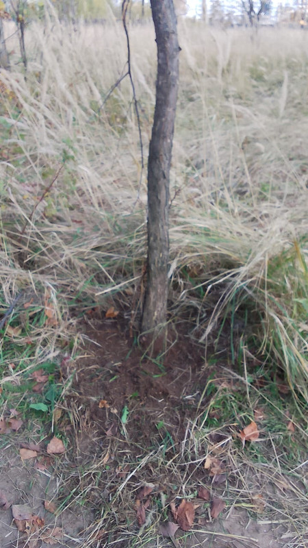 e81729ac-b528-40ba-8239-dea000d0032e