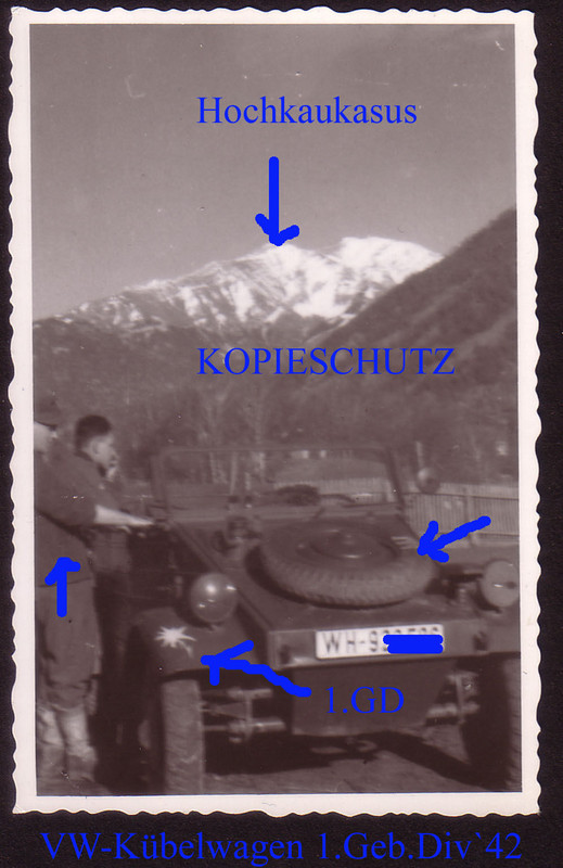,VW-Kübelwagen,Gebirgsjäger am Kaukasus,1.GD,Weh