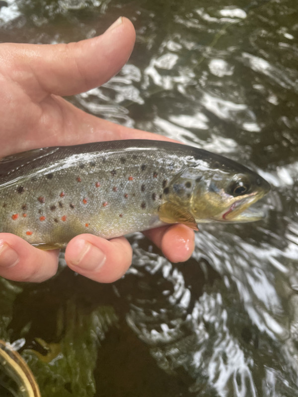 054BD2AE-7568-4B17-A94B-4B695C5C9715