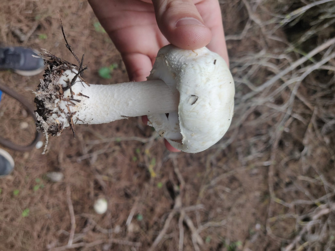 WhatsApp Image 2022-12-15 at 13.50.52 (1)