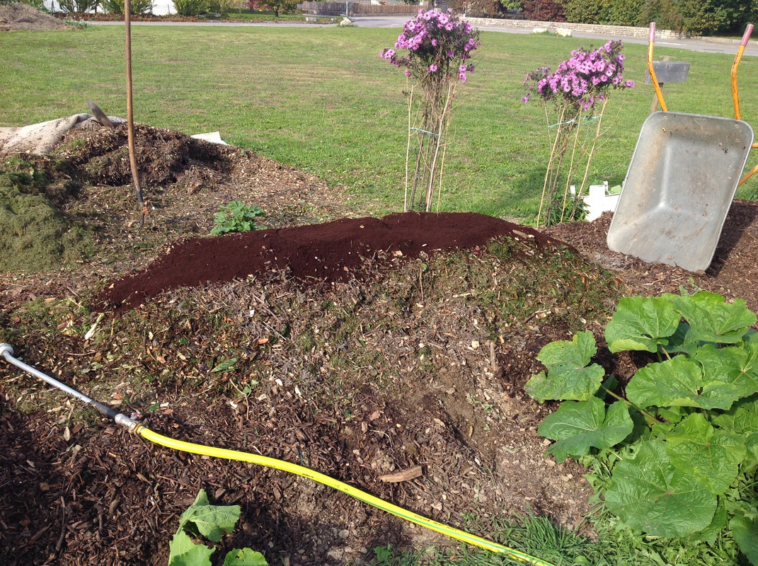 Kompostmiete Aus Drei mach Eins 3.Okt. 2015 (4)