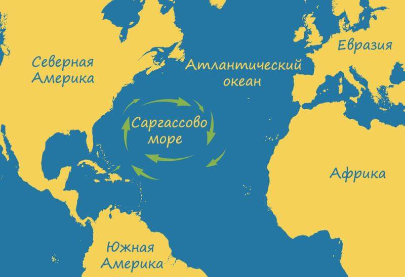 Саргассово море - мистические и удивительные факты