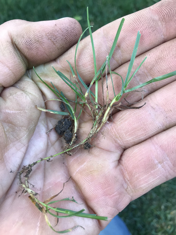 CD68A2C4-1372-4048-A2B4-632B3F425C0A